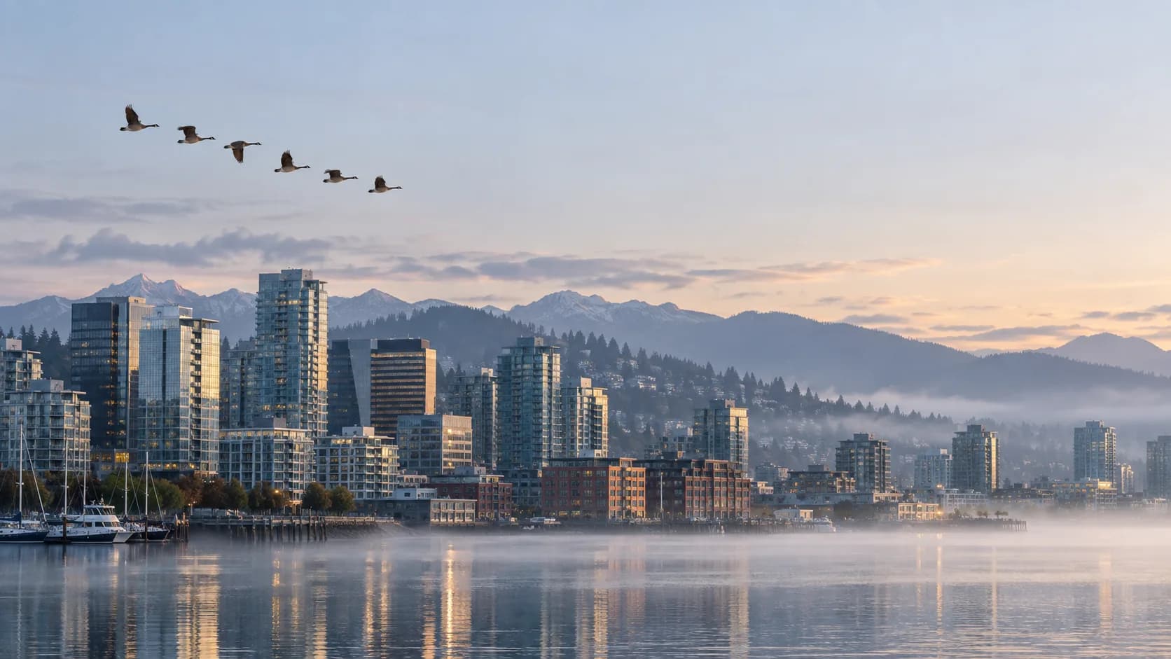 Canada geese flying over a Canadian city waterfront at dawn